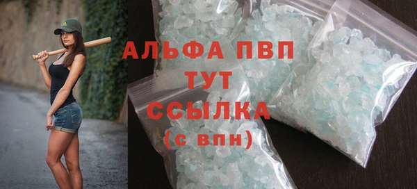 PSILOCYBIN Вязники