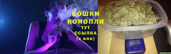 PSILOCYBIN Вязники