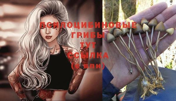 МДМА Вяземский