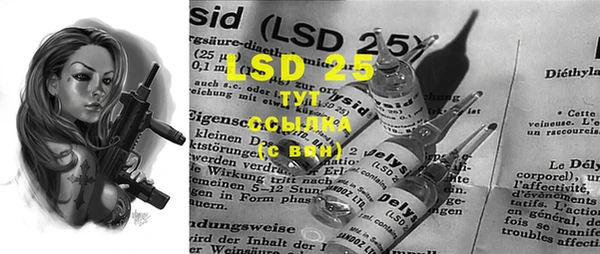 PSILOCYBIN Вязники